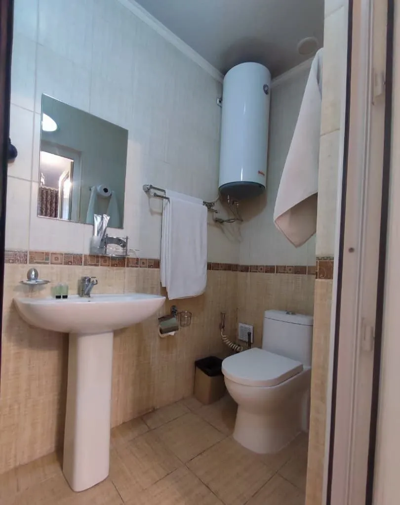 Rich Hotel, Бишкек - фото 19